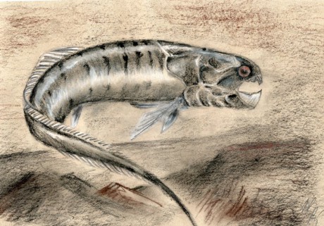 Dunkleosteus.jpg
