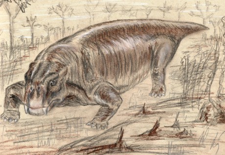 Lystrosaurus.jpg