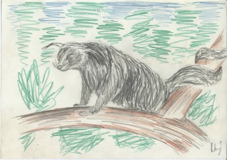 binturong